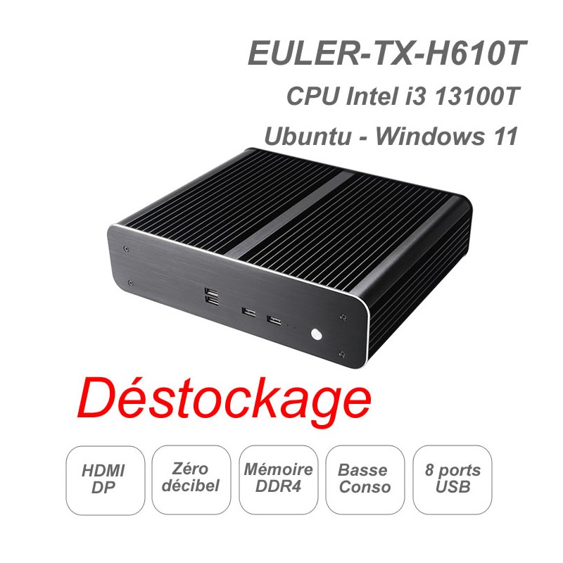 EULER-TX-H610T-13100 
CPU Intel 13ème génération
Fanless ultra silencieux